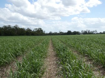 3392 Childers Road Gregory River QLD 4660 - Image 2