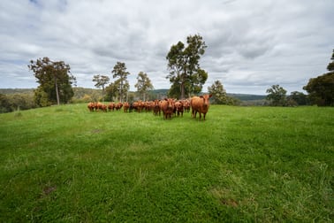 Click to view all images Lot 4 Kammann Road (Upper Warren) Manjimup WA 6258 - Image 1