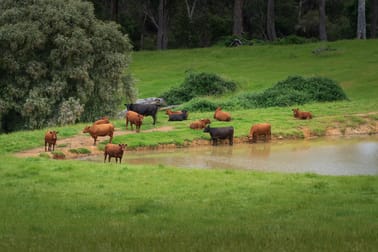 Click to view all images Lot 4 Kammann Road (Upper Warren) Manjimup WA 6258 - Image 2