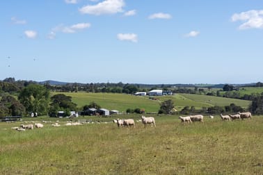 Click to view all images 120 Security Road Pipers River TAS 7252 - Image 3