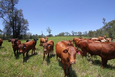 Click to view all images 45 Sheahan Road Berajondo QLD 4674 - Image 3