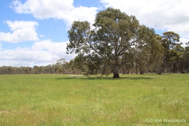 Click to view all images 345 McDonalds Road Clunes VIC 3370 - Image 3