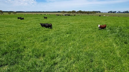 'Mount View' Occupation Lane Panmure VIC 3265 - Image 3