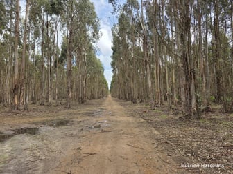 Click to view all images 1458 Palmdale Road Palmdale WA 6328 - Image 1