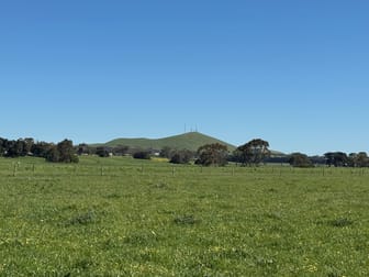Old Depot Lane Mortlake VIC 3272 - Image 2