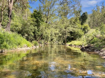 Click to view all images 1060 Eaglehawk Trail Yarrowitch NSW 2354 - Image 1