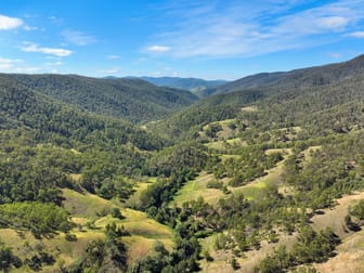 Click to view all images 1060 Eaglehawk Trail Yarrowitch NSW 2354 - Image 3