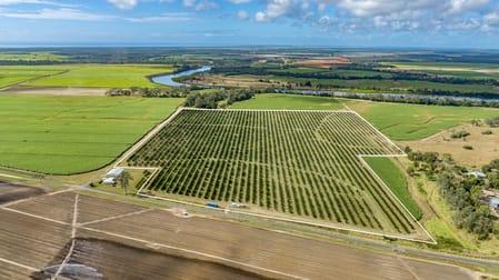 Click to view all images 228 Plantation Road Avondale QLD 4670 - Image 1