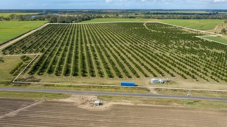 Click to view all images 228 Plantation Road Avondale QLD 4670 - Image 2