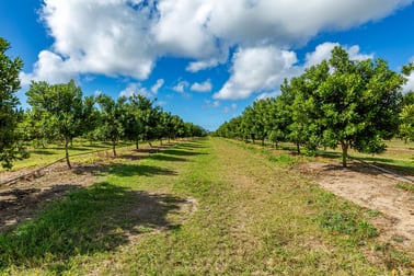 Click to view all images 228 Plantation Road Avondale QLD 4670 - Image 3