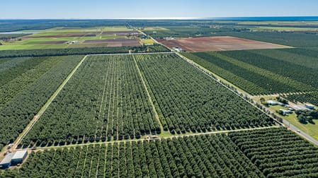 Click to view all images 94 Pashleys Road Welcome Creek QLD 4670 - Image 2