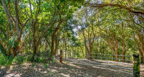 70 North Teven Road Teven NSW 2478 - Image 1