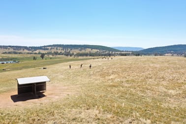 Click to view all images 195 Wambanumba Drive Young NSW 2594 - Image 3