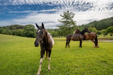 258 Bli Bli Road Bli Bli QLD 4560 - Image 2