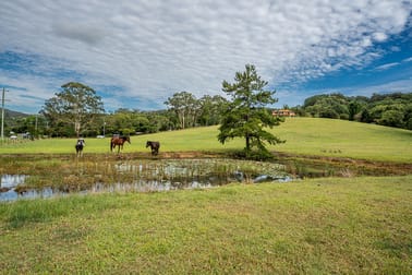 258 Bli Bli Road Bli Bli QLD 4560 - Image 3