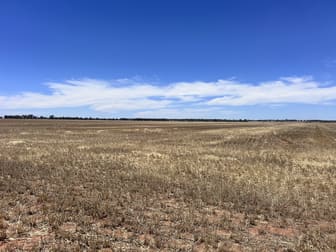 Click to view all images 958 Yarrabandai Road Forbes NSW 2871 - Image 2