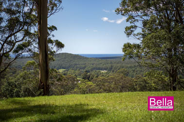 Click to view all images Lot 1 Monkey Mountain Road Termeil NSW 2539 - Image 3