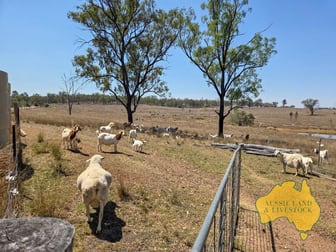 Click to view all images 110 BENHAMS ROAD Mundubbera QLD 4626 - Image 2