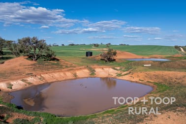 Goyder Road Frankton SA 5374 - Image 2
