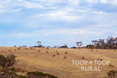 Goyder Road Frankton SA 5374 - Image 1
