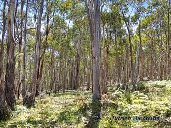 Click to view all images Yea VIC 3717 - Image 1