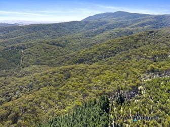 Click to view all images Yea VIC 3717 - Image 2