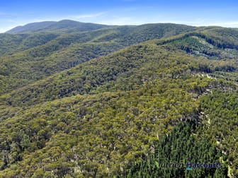 Click to view all images Yea VIC 3717 - Image 3