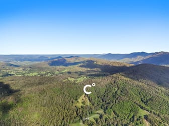 Click to view all images 157 Boormans Road Tyalgum NSW 2484 - Image 2