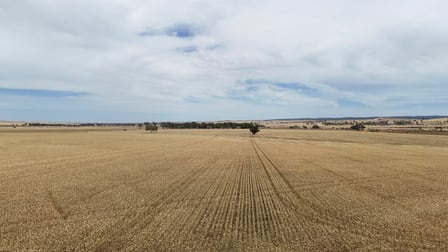 Click to view all images 1005 Appila-Laura Rd Appila SA 5480 - Image 2