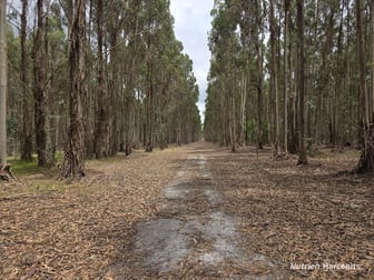 142 Mindijup Road Palmdale WA 6328 - Image 1