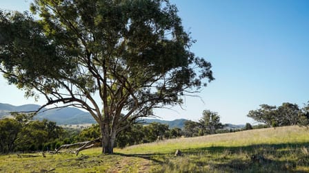 Click to view all images 701 Yarragal Road Yarragal NSW 2820 - Image 1