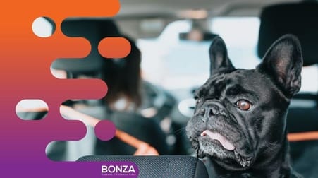 Animal Related  business for sale in Melbourne - Image 2