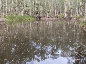 Click to view all images 89 Banksia Road Talegalla Weir QLD 4650 - Image 3