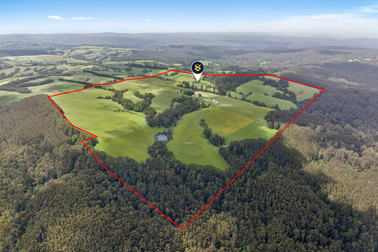 Click to view all images 4230 Colac-Lavers Hill Road Weeaproinah VIC 3237 - Image 1