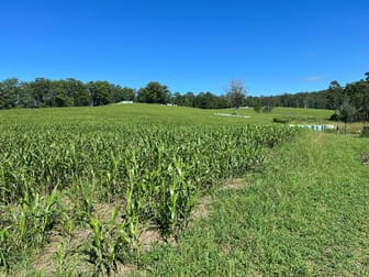 45 Moores Lane Eungai Creek NSW 2441 - Image 1