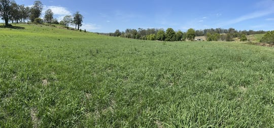 45 Moores Lane Eungai Creek NSW 2441 - Image 2