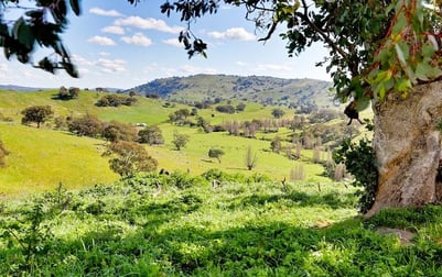 126 Sugarloaf Road Sheans Creek VIC 3666 - Image 1