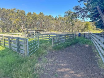 773 Portland-Nelson Road Gorae West VIC 3305 - Image 3