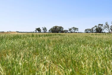 Click to view all images Lot N Murphys & Hercus Road Calivil VIC 3573 - Image 2