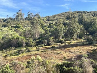 . Wilsons Road Granville Harbour TAS 7469 - Image 3