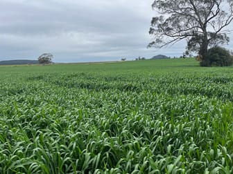 Click to view all images "Rosmar" Coocooboonah Lane Gunnedah NSW 2380 - Image 2