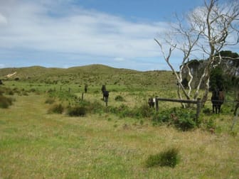 435 Kentford Road Lymwood TAS 7256 - Image 3