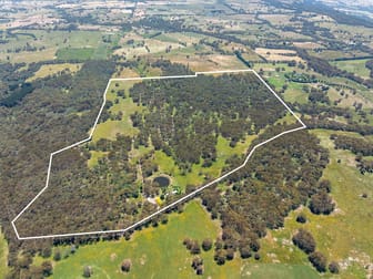 Terip Terip VIC 3719 - Image 3