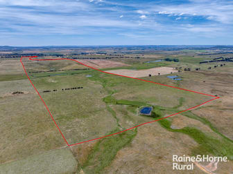 Click to view all images 909 Windellama Road Goulburn NSW 2580 - Image 1