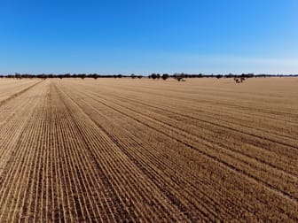 Click to view all images Part Woodville Blackstock Hill Road Peak Hill NSW 2869 - Image 2