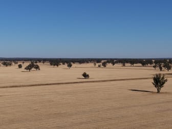 Click to view all images Part Woodville Blackstock Hill Road Peak Hill NSW 2869 - Image 3