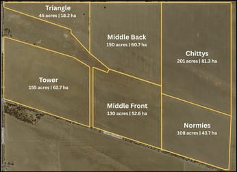'Whites'/Lot 3 & 5 Tickera-Alford Rd Alford SA 5555 - Image 3