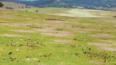 1882 Freemantle Road Milkers Flat NSW 2795 - Image 3