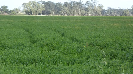 2448 Bangham Road Frances SA 5262 - Image 1