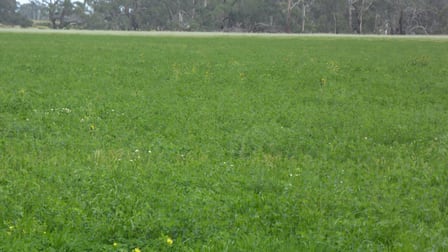 2448 Bangham Road Frances SA 5262 - Image 3